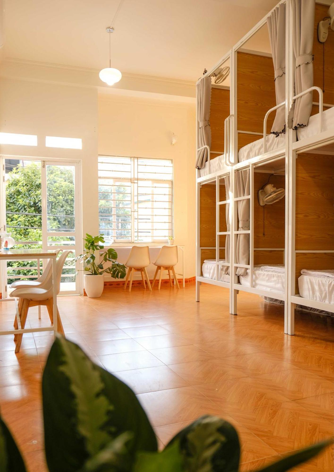 Lazy Cat Homestay - Motorbikes Rental & Tours Ha Giang Dış mekan fotoğraf